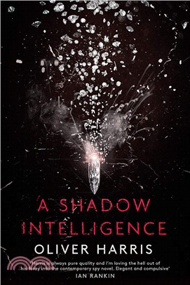 A Shadow Intelligence