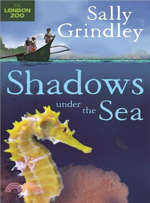 Shadows Under the Sea