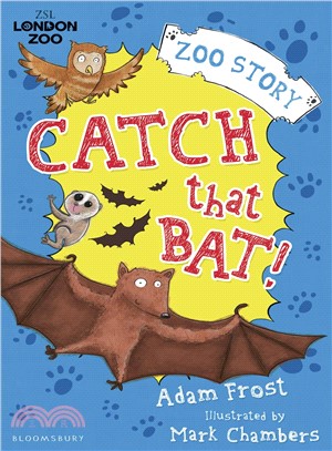 Catch That Bat!