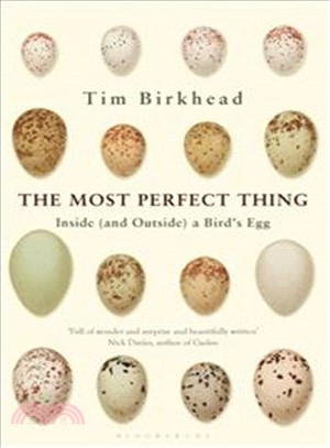 The Most Perfect Thing: Inside (and Outside) a Bird's Egg