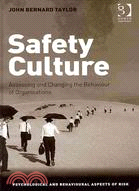 Safety Culture: Assessing and Changing the Behaviour of Organisations
