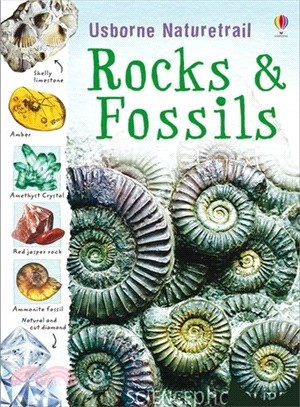 Naturetrail Rocks and Fossils