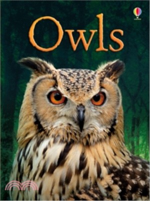 Beginners: Owls