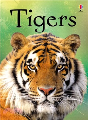 Usborne Beginners: Tigers