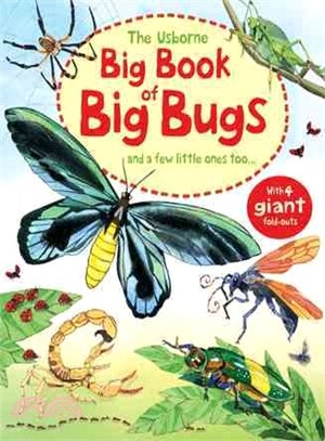 The Usborne big book of big bugs and a few little ones too-- /
