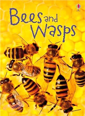 Usborne Beginners: Bees & Wasps | 拾書所