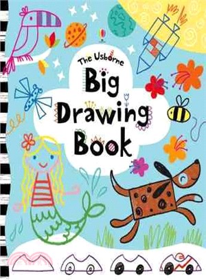 Big Drawing Book