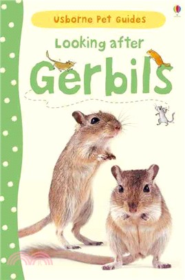 Looking after Gerbils