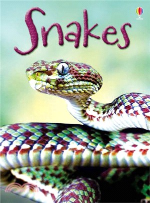 Snakes: For tablet devices (Usborne Beginners)