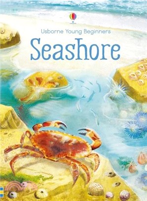 Seashore (Young Beginners)