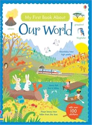 My First Book About Our World Sticker Book