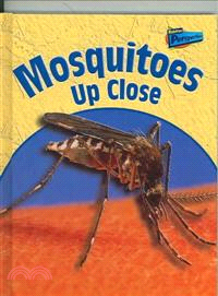 Mosquitoes Up Close