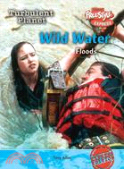 Wild Water: Floods