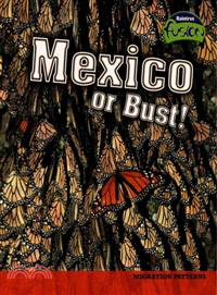 Mexico or Bust! ― Migration Patterns