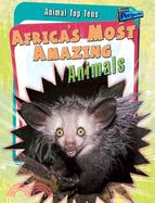 Africa's Most Amazing Animals