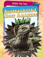 Australasia's Most Amazing Animals