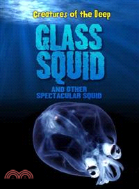 Glass squid and other spectacular squid