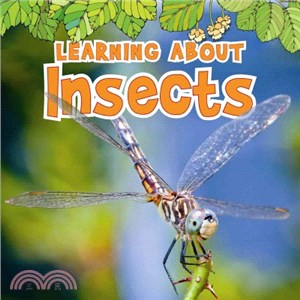 Learning About Insects
