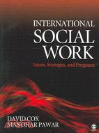International Social Work: Issues, Strategies, And Programs