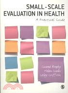 Small-Scale Evaluation in Health: A Practical Guide