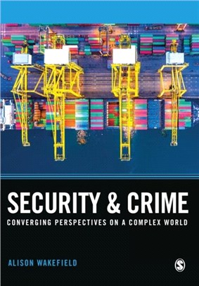 Security and Crime:Converging Perspectives on a Complex World