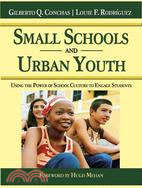 Small Schools and Urban Youth: Using the Power of School Culture to Engage Students