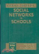 Making Sense of Social Networks in Schools