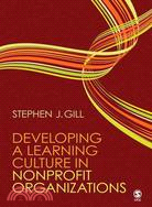 Developing a learning cultur...