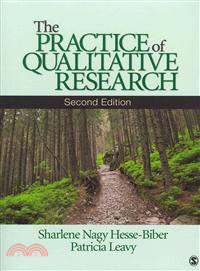 The Practice of Qualitative Research, 2nd Ed + Reliability and Validity in Qualitative Research + the Long Interview