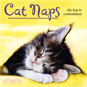 Cat Naps ─ The Key to Contentment