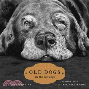 Old Dogs ─ Are the Best Dogs