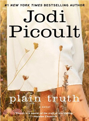 Plain truth :a novel /