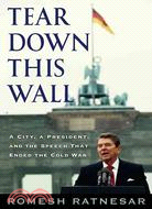 Tear Down This Wall: A City, a President, and the Speech That Ended the Cold War