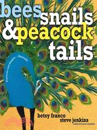 Bees, snails, & peacock tails :  patterns & shapes-- naturally /