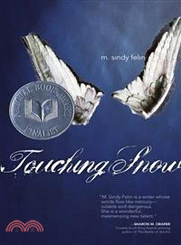 Touching Snow