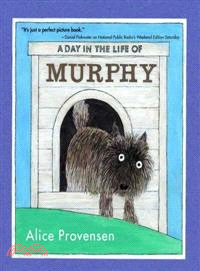 A Day in the Life of Murphy