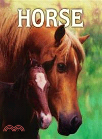 Horse | 拾書所