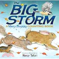 The Big Storm ─ A Very Soggy Counting Book