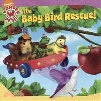 The Baby Bird Rescue
