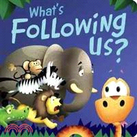 What's following us? /