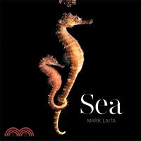 Sea /
