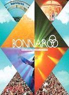 Bonnaroo ─ What, Which, This, That, the Other