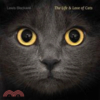 The life and love of cats /