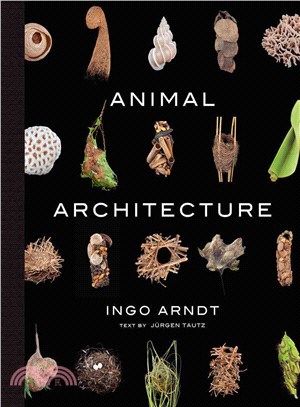 Animal Architecture