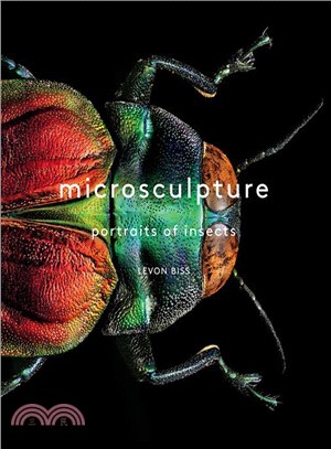 Microsculpture ─ Portraits of Insects