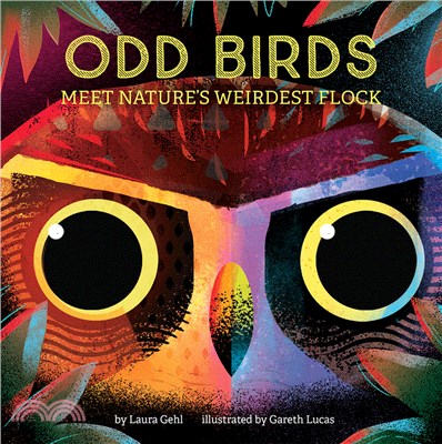 Odd Birds: Meet Nature's Weirdest Flock