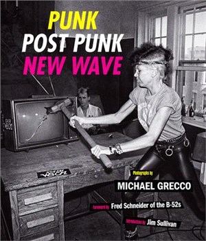 Punk, Post Punk, New Wave ― Onstage, Backstage, In Your Face 1977-1989