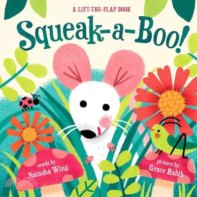 Squeak-A-Boo!: a lift-the-flap book