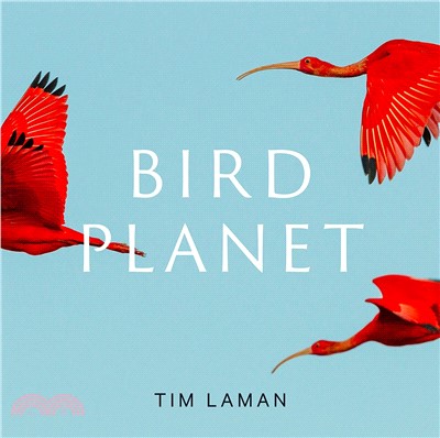 Bird Planet: A Photographic Journey
