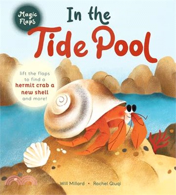 In the Tide Pool: A Magic Flaps Book